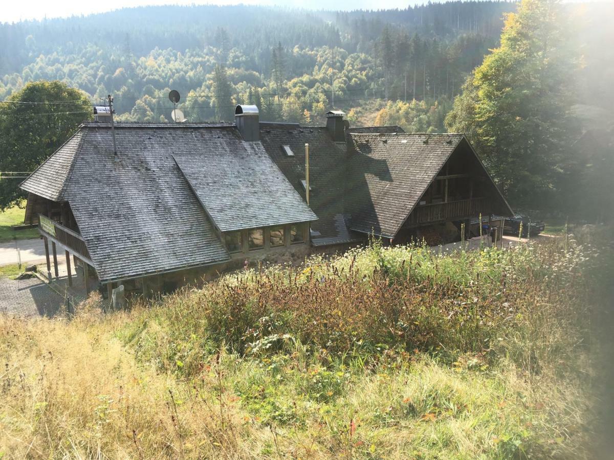 Romantisches Schwarzwaldhaus * Aule